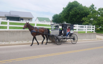 mels-buggy-rides-4